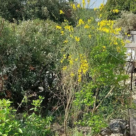Casa de Férias Les 4 Mousquetaires