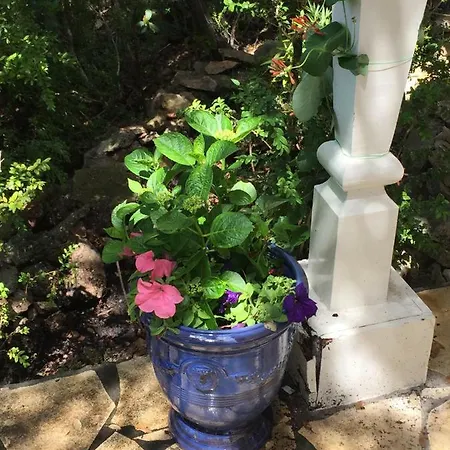 Les 4 Mousquetaires *